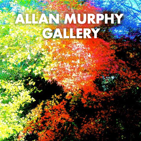 ALLAN MURPHY PHOTOS